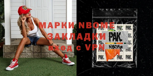 индика Покачи
