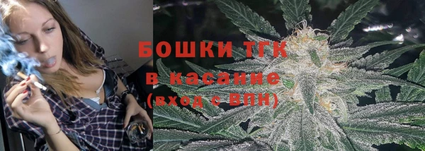 ешки Аркадак